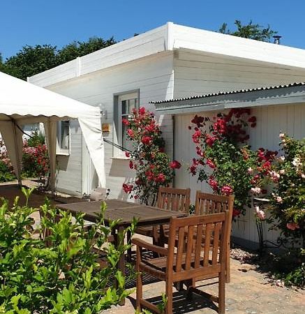 Ferienbungalow Haus Am Teich Boltenhagen Kültér fotó