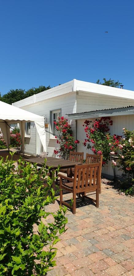 Ferienbungalow Haus Am Teich Boltenhagen Kültér fotó