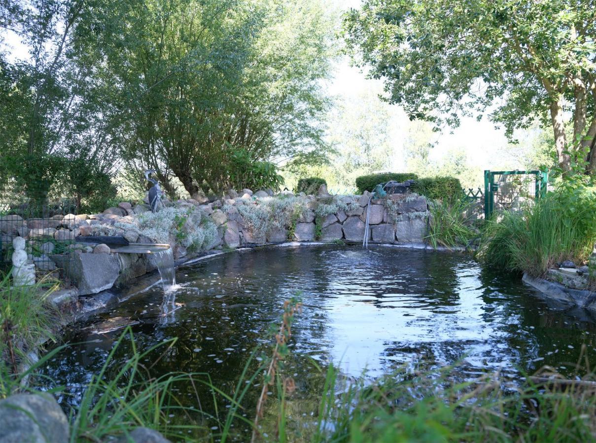 Ferienbungalow Haus Am Teich Boltenhagen Kültér fotó